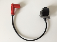 E11818 - G00104026 AS Motor Zündspule - Zündanker