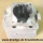 Zylinder für Florabest FBS 43 A1 Benzin-Motorsense
